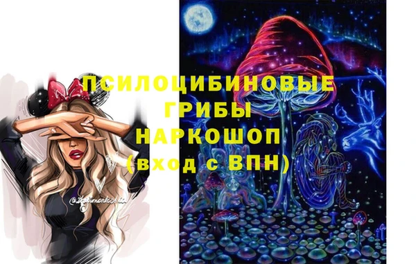 прущие грибы Майский