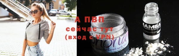 СК Магас
