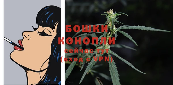 прущие грибы Майский