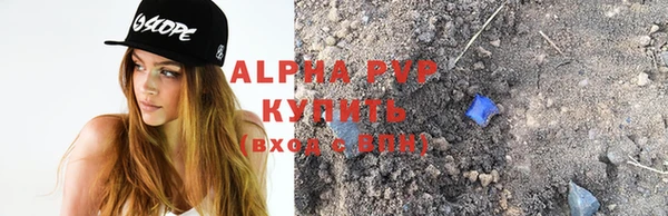 прущие грибы Майский