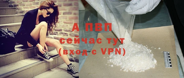 прущие грибы Майский