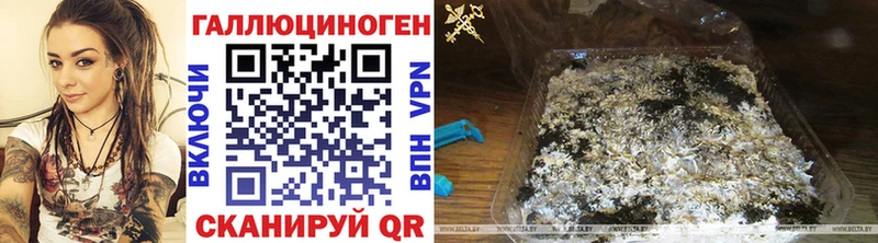мега ONION  Венёв  Галлюциногенные грибы мицелий 