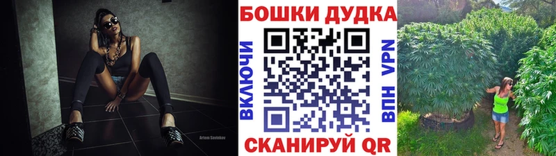 Бошки Шишки AK-47  Венёв 